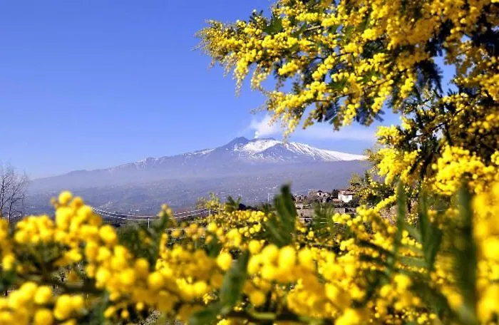 Don Ciccio's House *