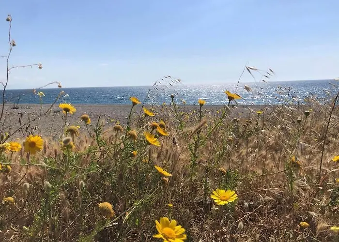 Don Ciccio's House フィウメフレッド・ディ・シチーリア